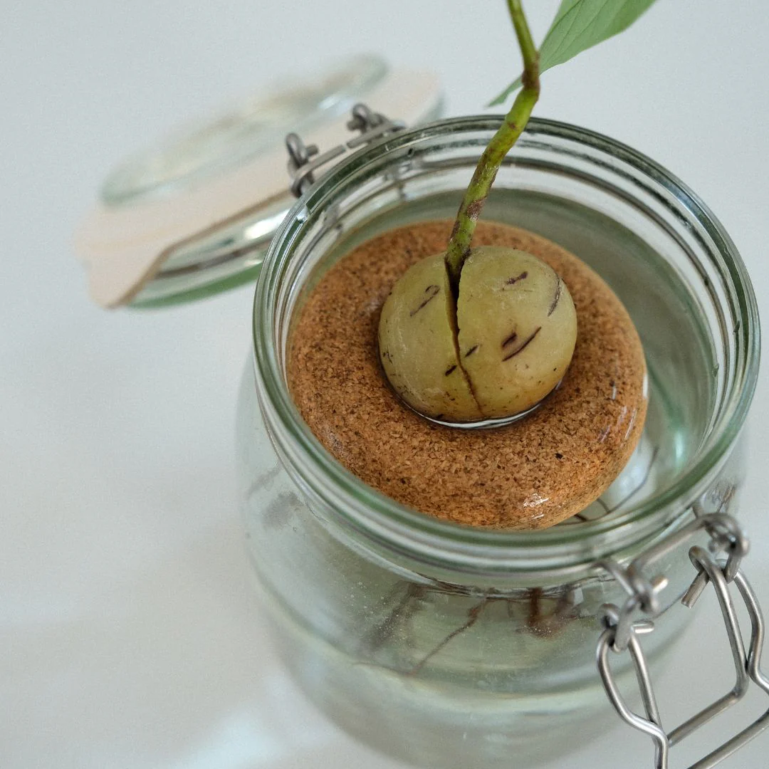 Bouée pour avocat - Samantha Kerdine - Image 4