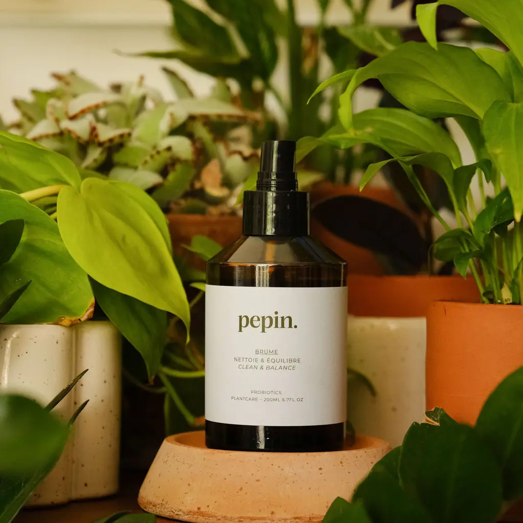 Brume nettoyante - Image 4