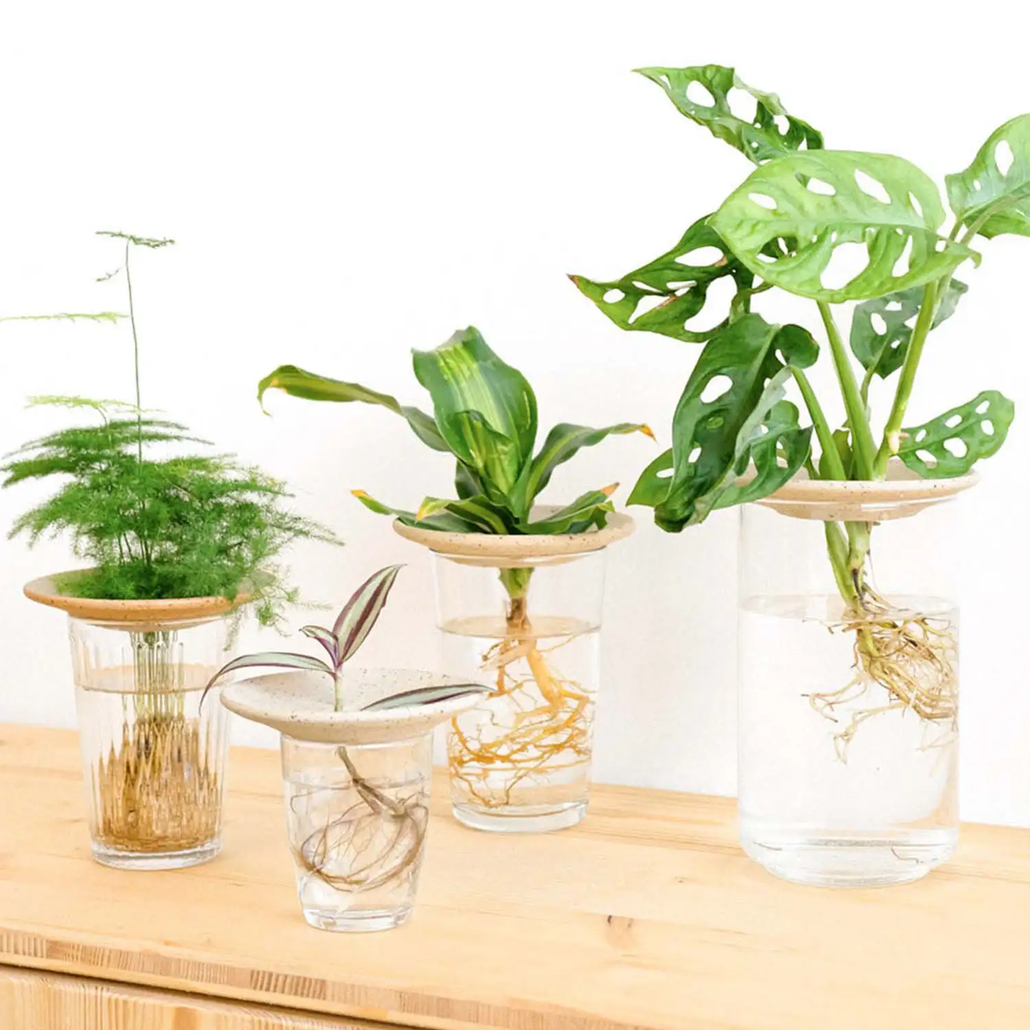 Coupelle d'hydroculture - Image 4