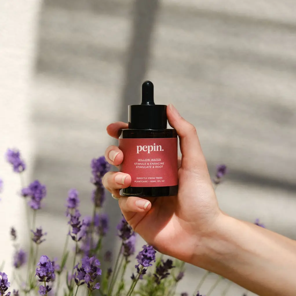 Eau de Saule - Image 3