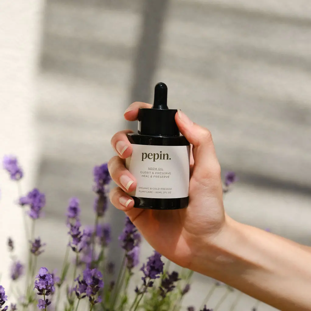 Huile de Neem - Image 4