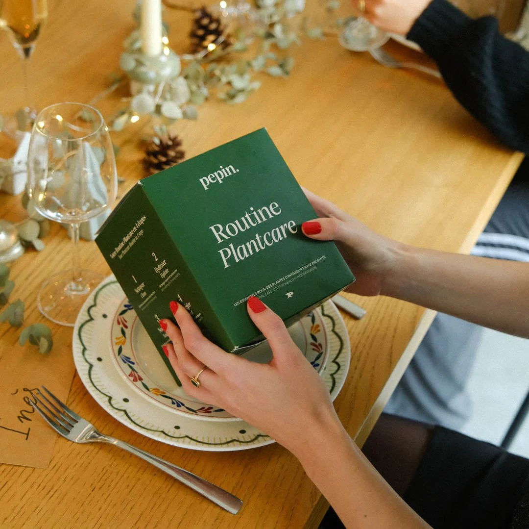 Routine Plantcare - Image 3