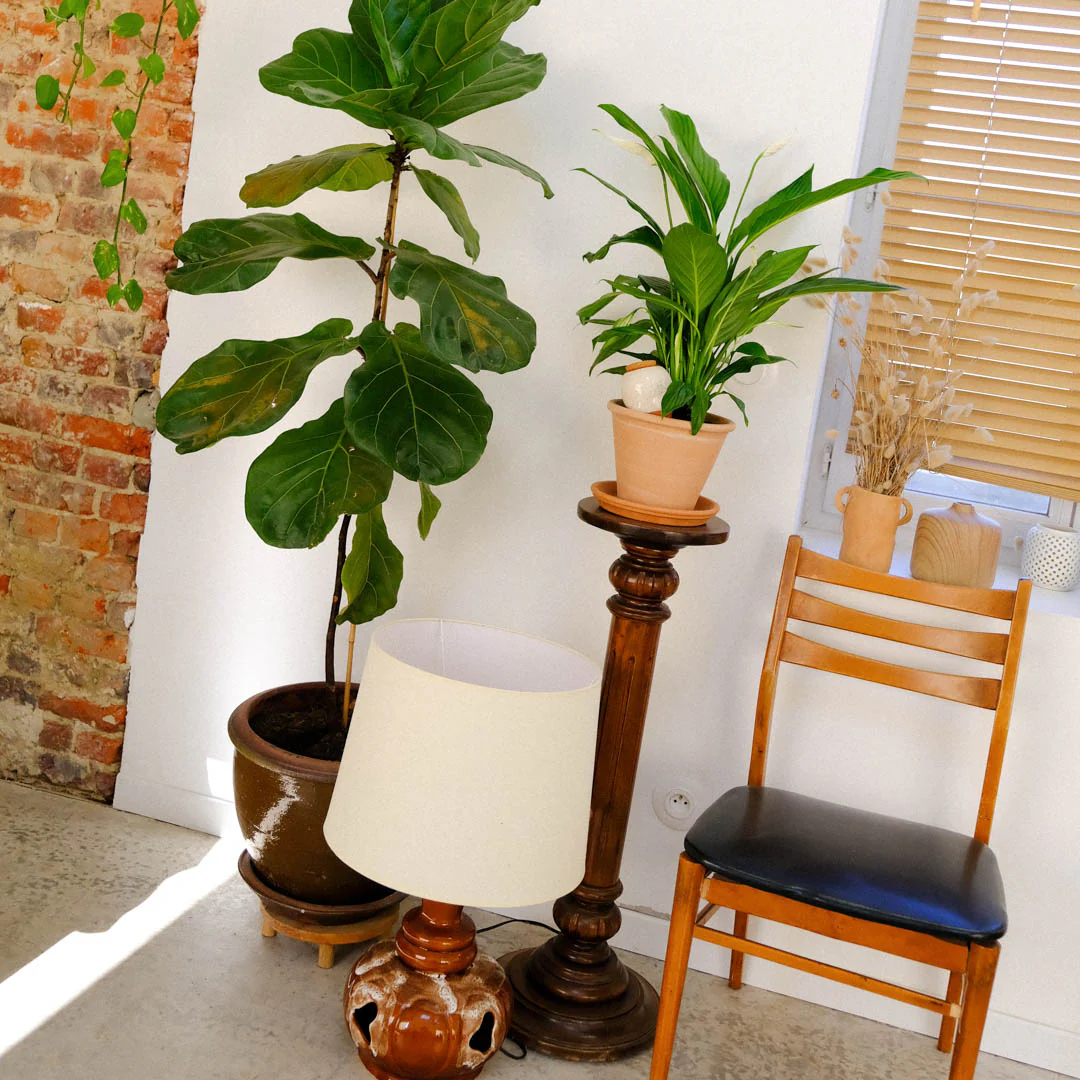 Olla - Blanc grainé - Image 3