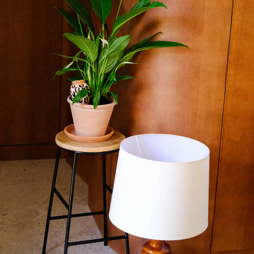 Olla - Léopard - Image 4