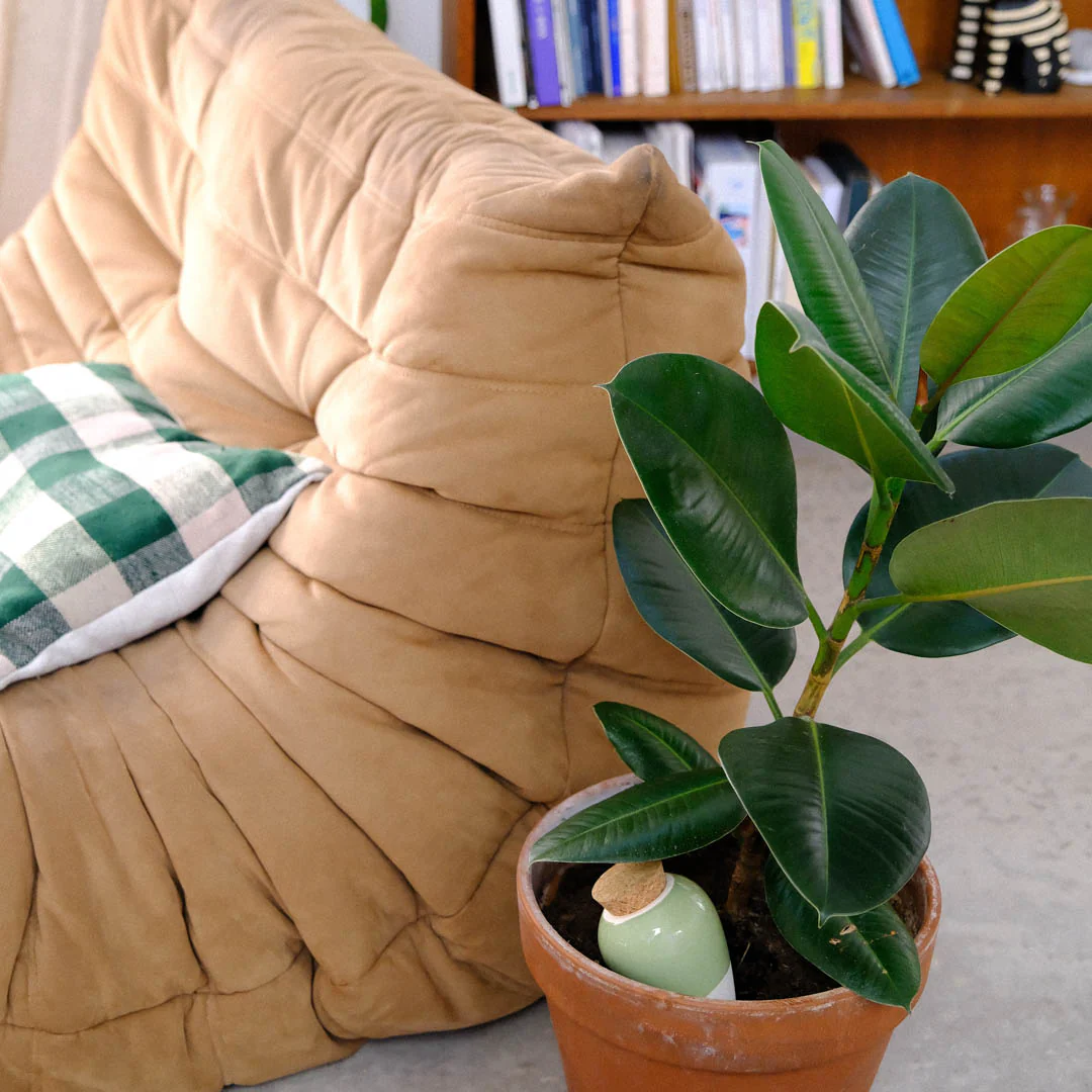 Olla - Vert - Image 3