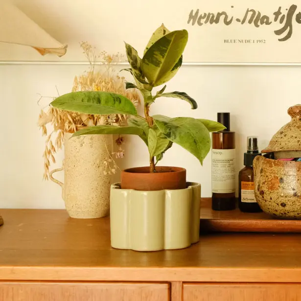 Pot autonome Paulita - Vert sauge - Image 3