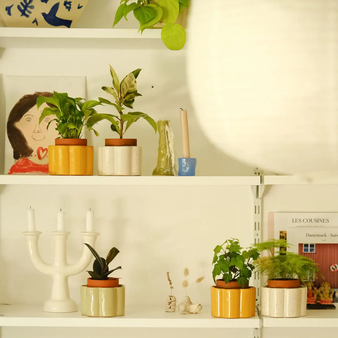 Pot autonome Paulita - Vert sauge - Image 4