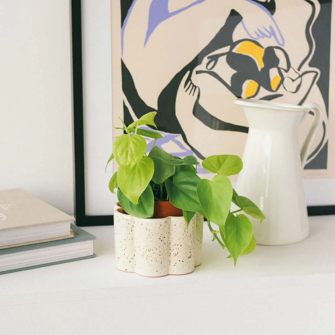 Pot autonome Paulita - Blanc grainé - Image 3