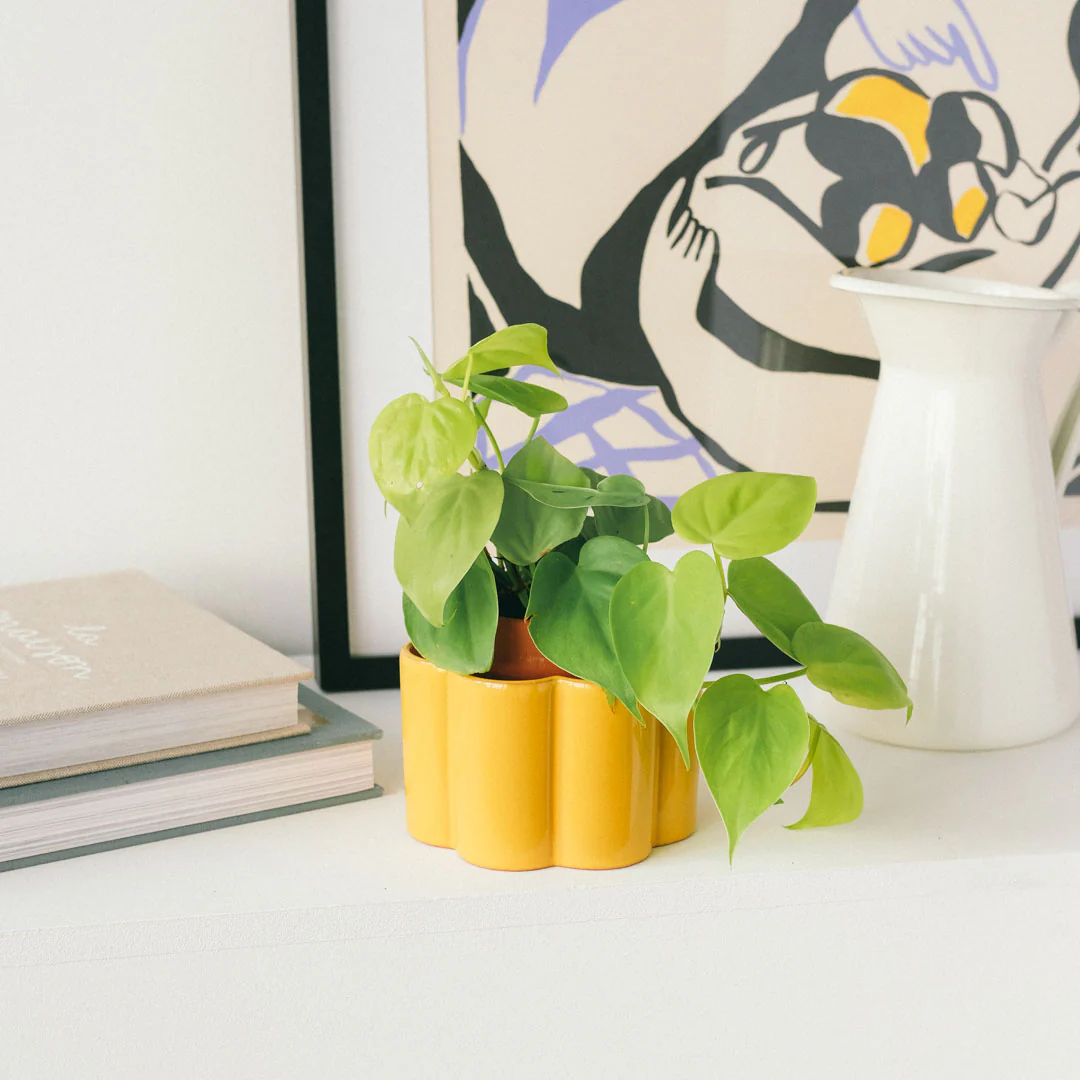 Pot autonome Paulita- Jaune moutarde - Image 3