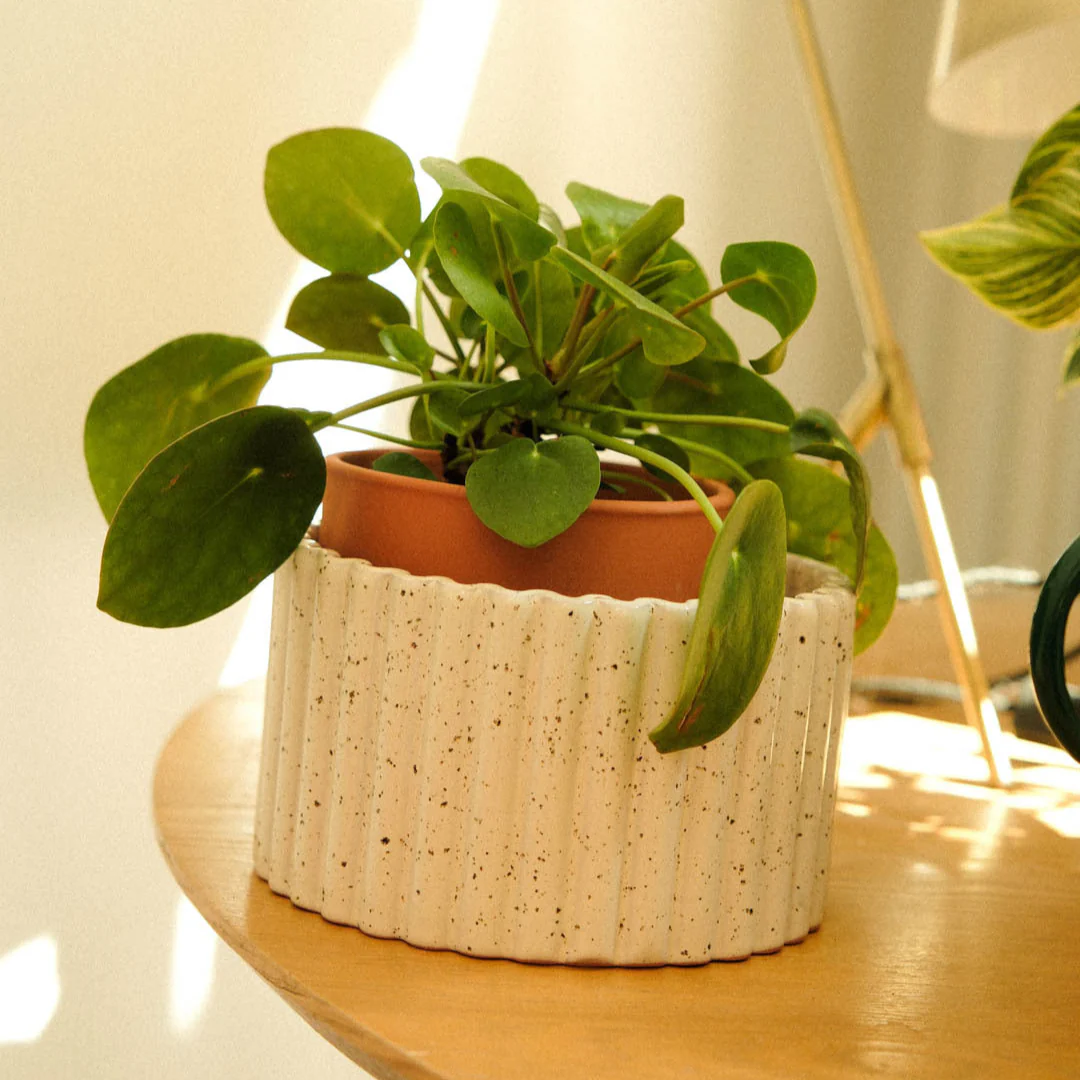 Pot autonome Paula - Blanc grainé - Image 3