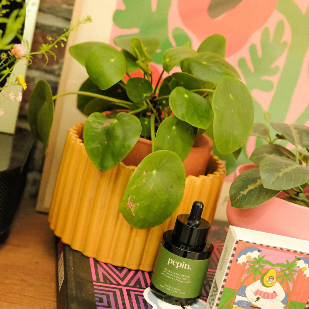 Pot autonome Paula - Jaune moutarde - Image 3