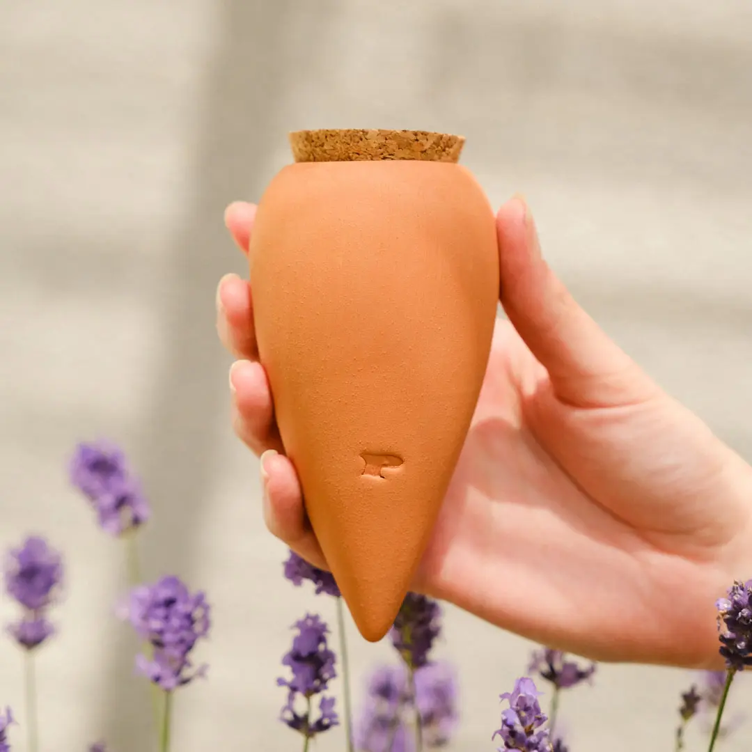 Trio Mini Ollas - Image 4